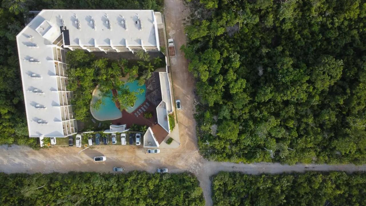 Entire Apartment At Dk Tulum Zewnętrze zdjęcie